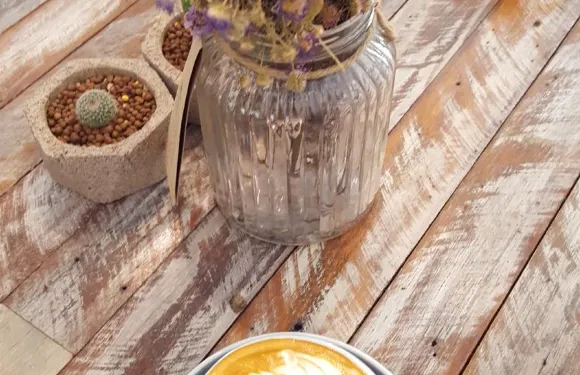 Omnia Cafe & Roastery