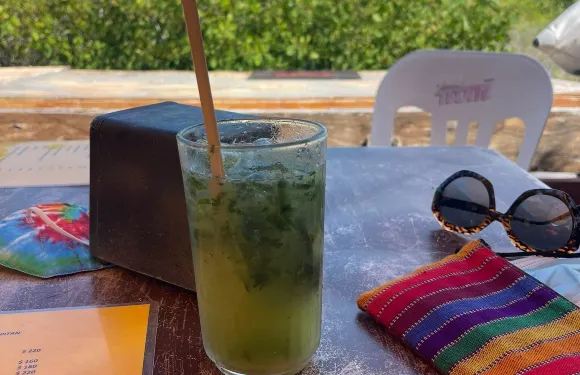 La Palapa Del Capitan