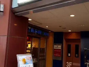 エクセルシオール カフェ 津田沼北口店
