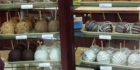 The Chocolate Crocodile