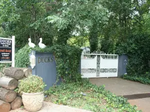Ducks Coffee Shop