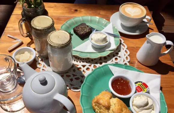 The Green Shed Coffee Roastery