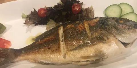 Taverna Alexis