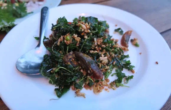 Suriya Garden Restaurant