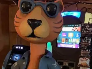 Catmando's