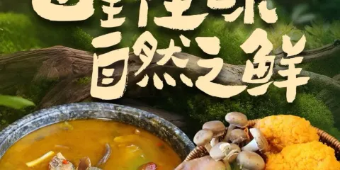 田村·石鍋藏香雞(八廓街店)
