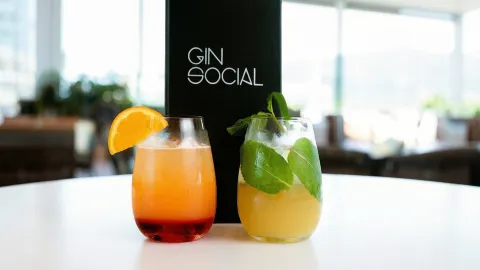 Gin Social in Cairns