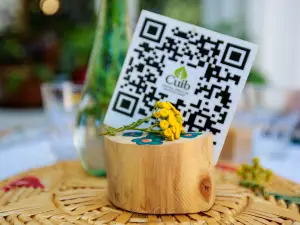 Cuib