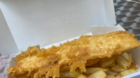 Fish Out in Leeds