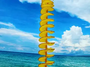Twist Potato