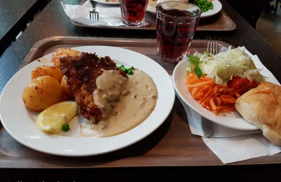 Lingonfabriken