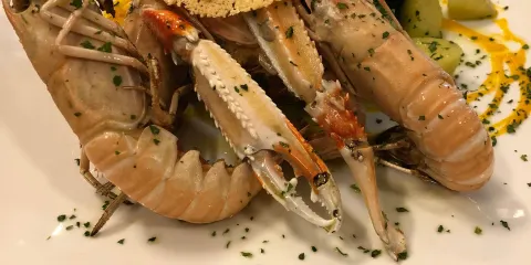 Antonio Restoran