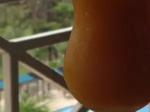 Monkey Lobby Bar in Gamboa Rainforest Resort