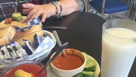 el delfin in 阿瓜斯卡連特斯州