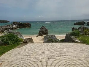 Kujira Cafe