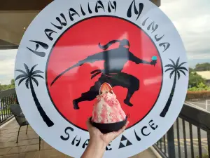Hawaiian Ninja Shave Ice