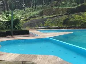 Vythiri Blue Ginger Resort
