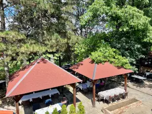 Kamp Košutnjak