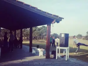 Viejo Golf