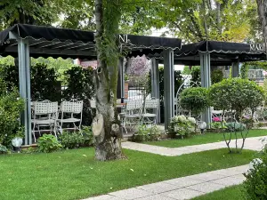 Marini