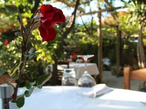 Old Town Restaurant, Polis