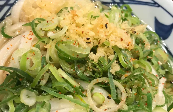 Marugame Seimen Nakatsugawa