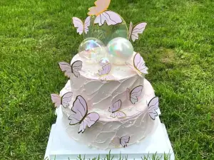 Aidou Cake (jiandongjie)