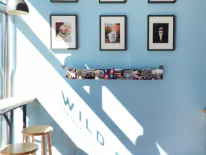 Wild Scoops