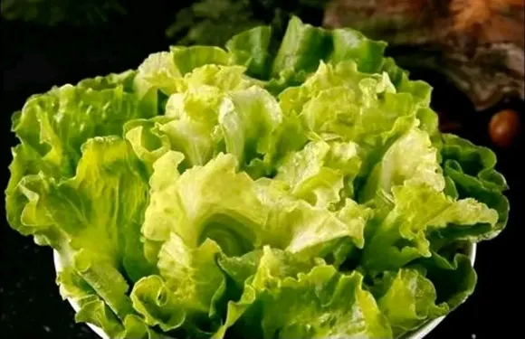 渝妙材重慶火鍋店（宇華名苑1期店）