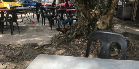 Nan Wah Kopitiam - Since 1976