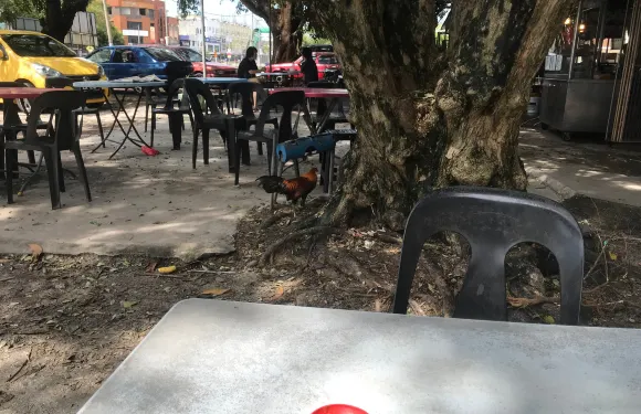 Nan Wah Kopitiam - Since 1976