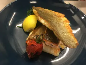 Fish & Coffee Gromitz