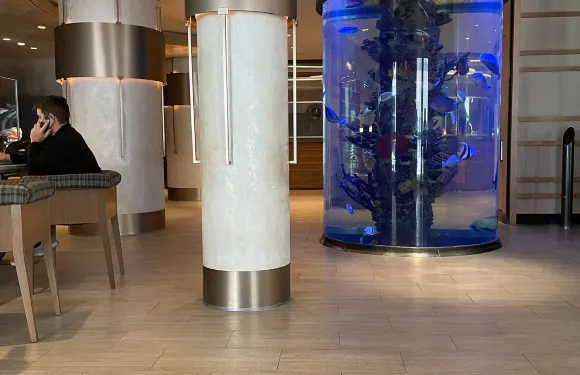 The Bar at Dream New York