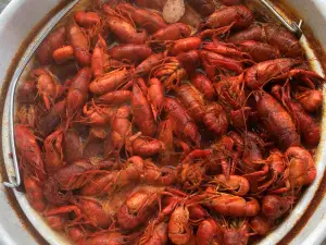 Who Dat Crawfish & Cajun Spices