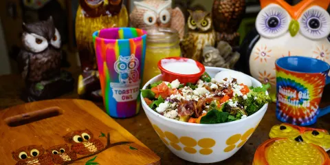 The Toasted Owl Cafe