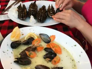 Emovata Kashta