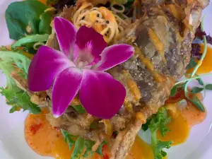 Salt Fish Restaurant and Tiki Bar
