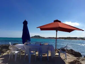 LE MARIN
