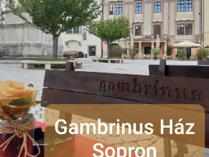 Gambrinus Haz