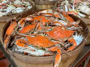 Just In Time Seafood