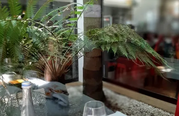 Restaurante A Barca