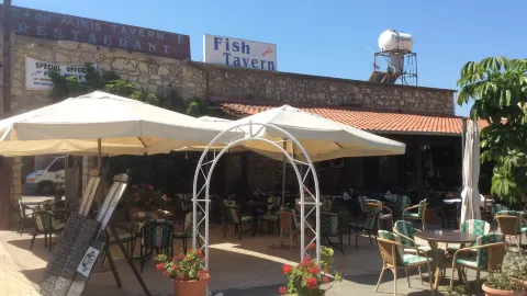 Miki's Tavern & Fish Restaurant in Polis