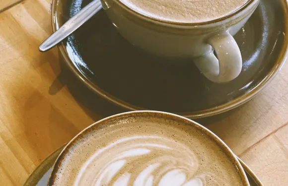 Mad Providore