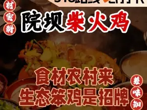 波密院坝柴火鸡