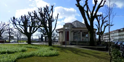 Cafe Girassol