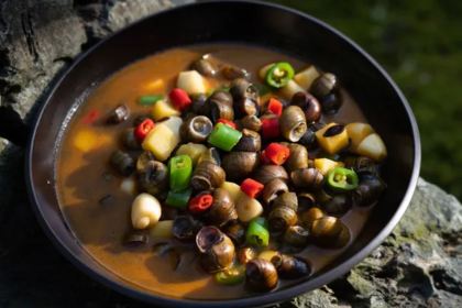 杭州明月松间·潜川酒店·最林泉