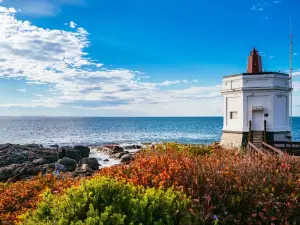 Top 10 Must-Visit Restaurants in New Zealand