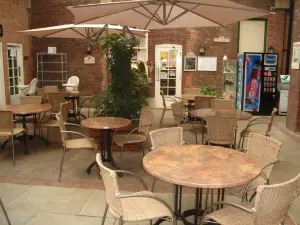 The Cafe in Sherwood Forest