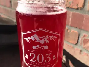 203 Kombucha