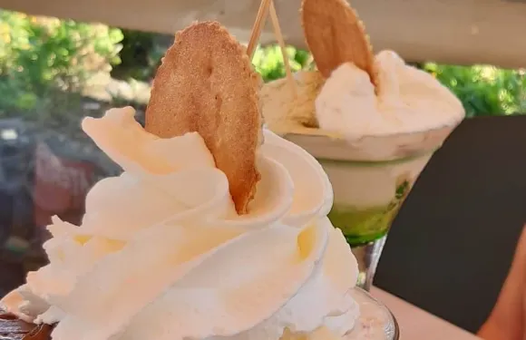 Bar Gelateria da Aldo